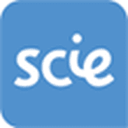 Social Care Institute for Excellence